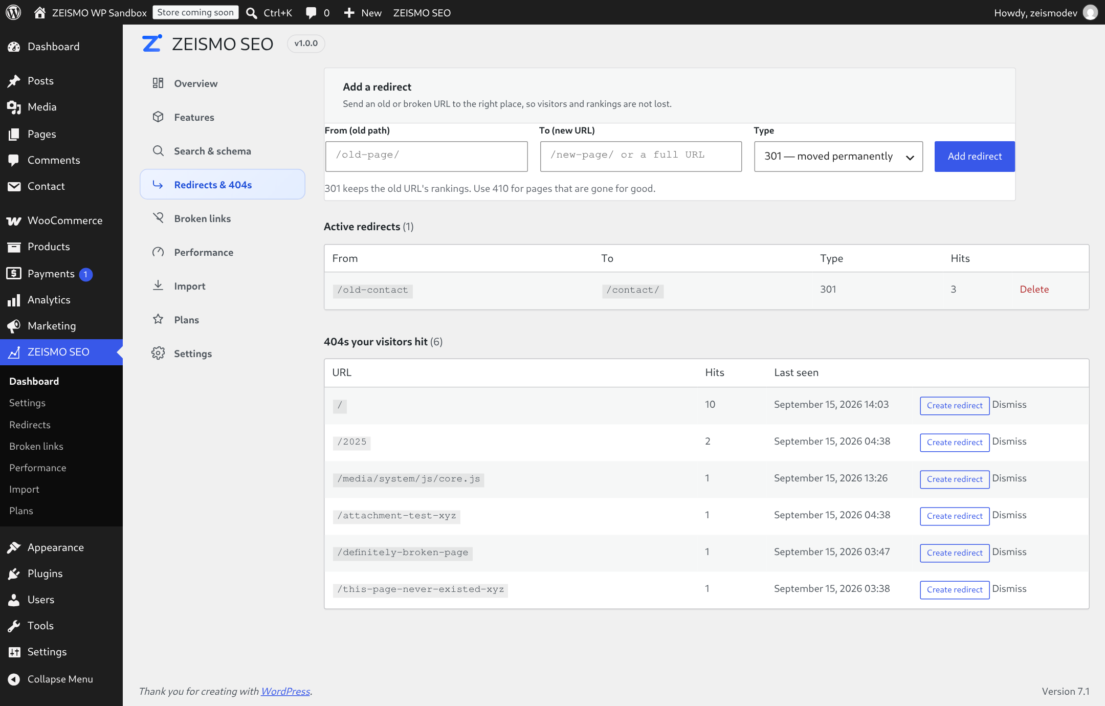 Redirects and 404 monitor: add form, active rules with hit counts, and the 404 log